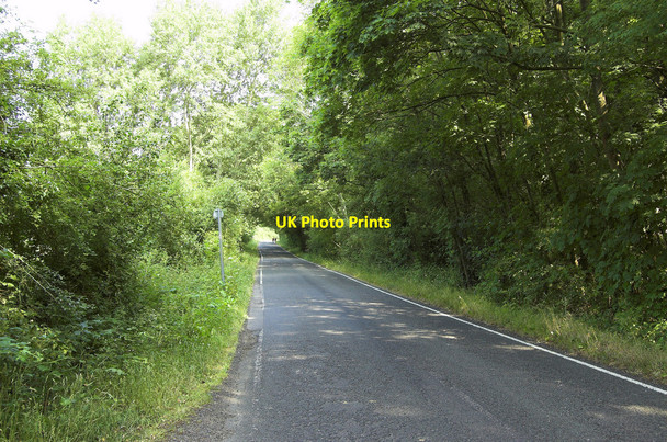 Photo 6"x4" Ripley Road, West Clandon (2) West Clandon c2010