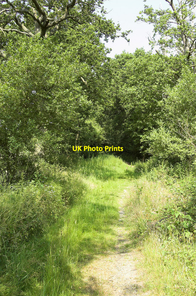 Photo 6"x4" Green Lane, West Clandon West Clandon c2010