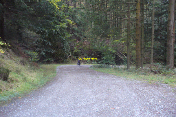 Photo 6"x4" Bend in the Track, Grizedale Forest Grizedale c2008