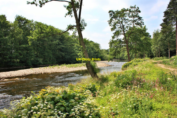 Photo 6"x4" River Ure, West Tanfield West Tanfield c2010