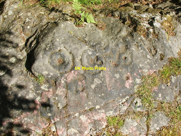Photo 6"x4" Cup-and-ring marks on rock outcrop Denny c2010