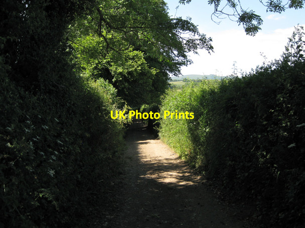 Photo 6"x4" Track northwest from Wotton Cross Wotton Cross\/SX8069 c2010