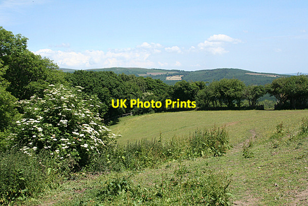 Photo 6"x4" Holne: near Fore Stoke Middle Stoke\/SX6970 c2010