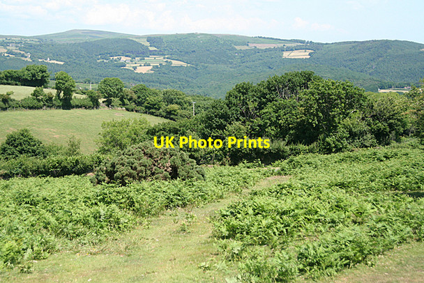 Photo 6"x4" Holne: towards the Dart valley Middle Stoke\/SX6970 c2010