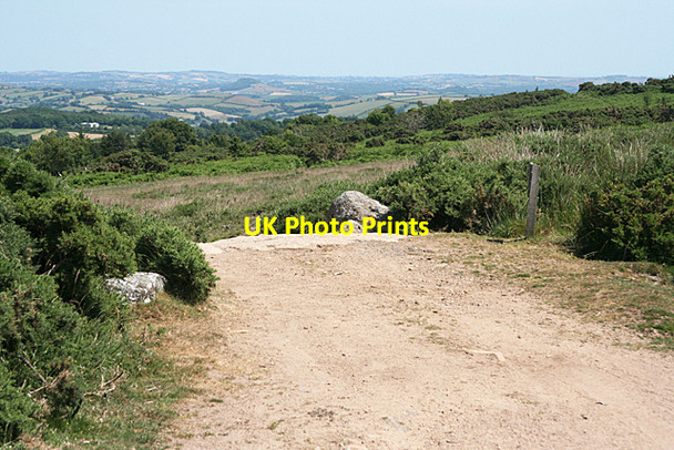 Photo 6"x4" Holne: by Hamlyn's Leat Holne c2010
