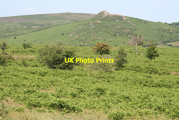 Photo 6"x4" Widecombe in the Moor: Sharp Tor from the south Dartmeet c2010
