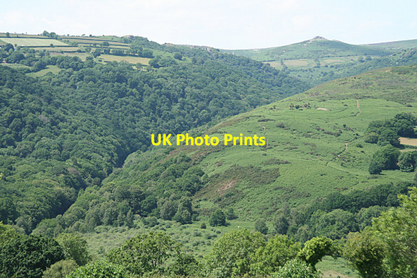 Photo 6"x4" Widecombe in the Moor: near Aish Tor Holne c2010