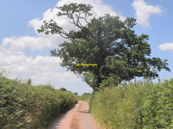 Photo 6"x4" Minor road, forming part of Devonshire Heartland Way Crediton c2010