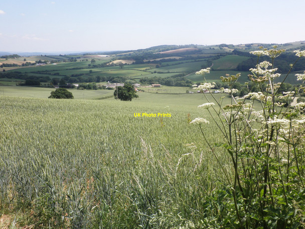 Photo 6"x4" View towards Court Barton Venny Tedburn c2010