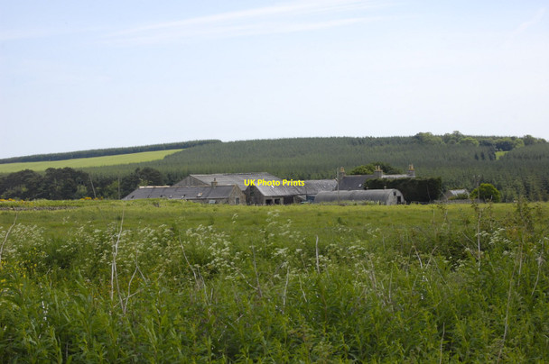 Photo 6"x4" Denmill Farm Kinmuck c2010