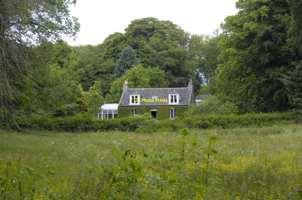 Photo 6"x4" Cottage with creepers Hatton of Fintray c2010