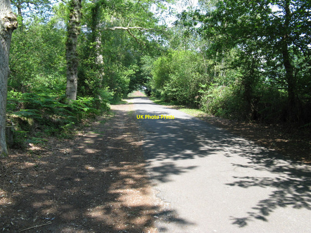 Photo 6"x4" Link road to Brookside Farm Duncton c2010
