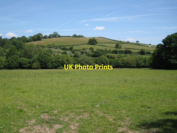 Photo 6"x4" Meadow by the Kester Brook Wotton Cross\/SX8069 c2010
