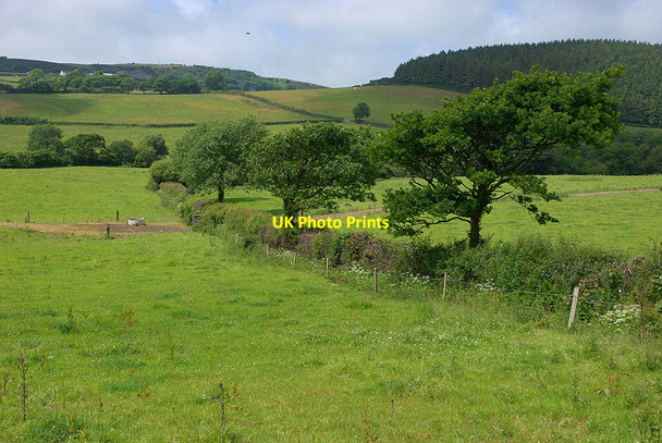 Photo 6"x4" Fields near Rhodmad farm Blaenplwyf\/SN5775 c2010