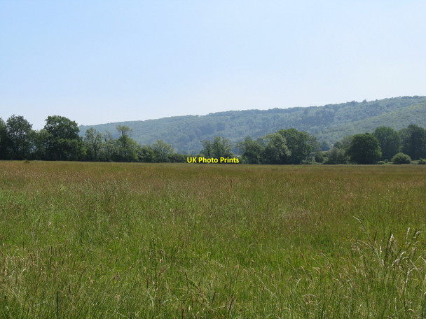 Photo 6"x4" View south across hay field near Upper Norwood Upper Norwood\/SU9317 c2010