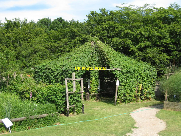 Photo 6"x4" Hop Canopy at Rare Breeds Centre Townland Green c2010