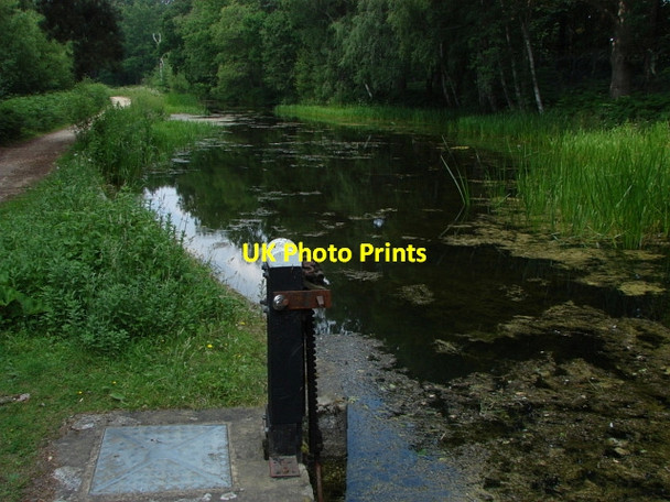 Photo 6"x4" Basingstoke Canal Pirbright Camp c2010