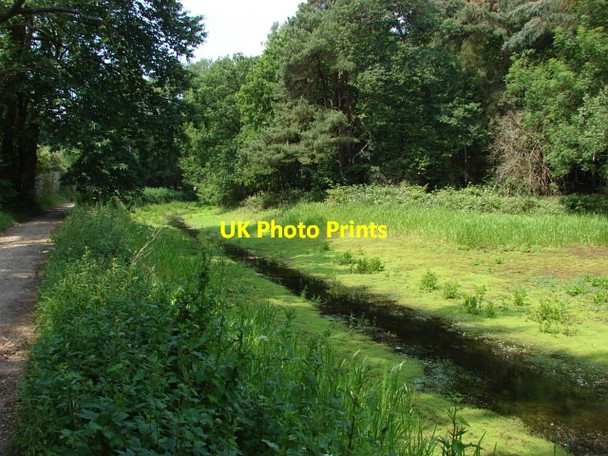 Photo 6"x4" Basingstoke Canal Pirbright Camp c2010