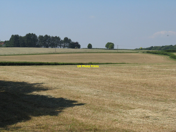 Photo 6"x4" Silage and hay fields south of Woodcote Farm Graffham c2010