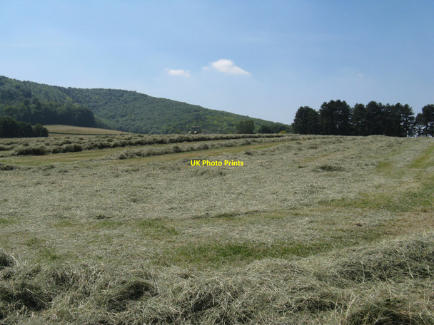 Photo 6"x4" Haymaking at Woodcote Farm Graffham c2010
