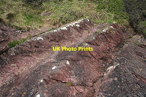 Photo 6"x4" Old Red Sandstone Brynrefail\/SH4886 c2010