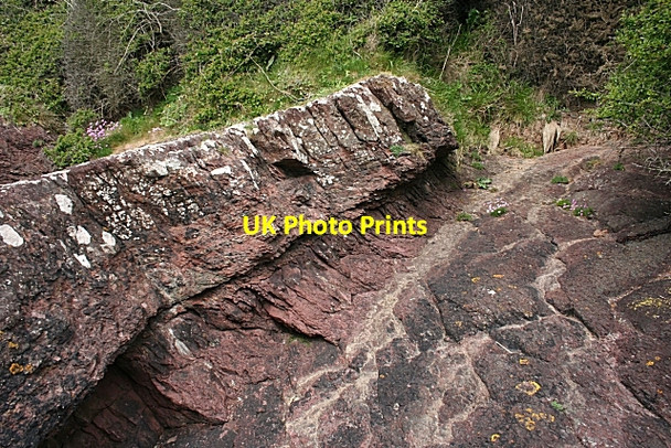 Photo 6"x4" Old Red Sandstone Brynrefail\/SH4886 c2010 P1