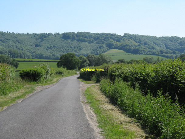 Photo 6"x4" South on Hoyle Lane towards Heyshott Hoyle\/SU9018 c2010