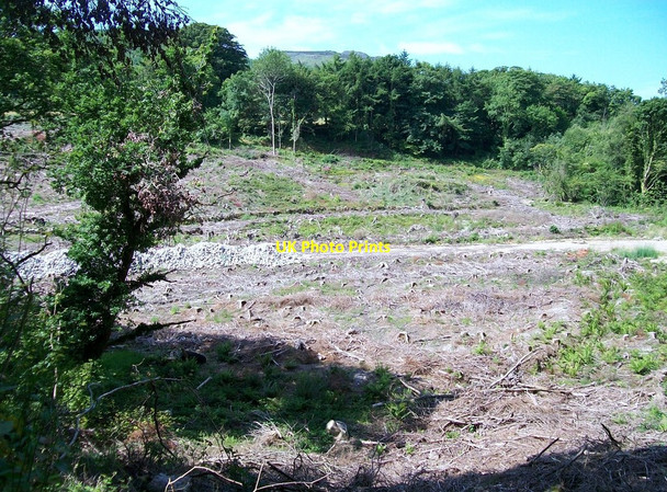Photo 6"x4" A harvested section of the Nant y Gledrydd forest Garnfadryn c2010