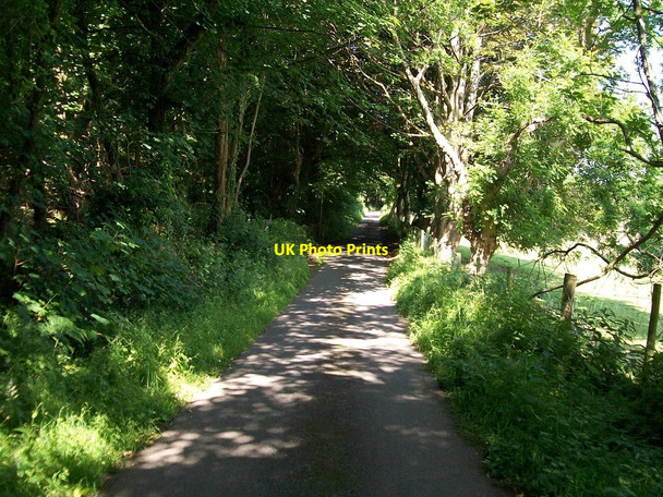 Photo 6"x4" View north-westwards towards the Nant y Gledrydd road junction Garnfadryn c2010