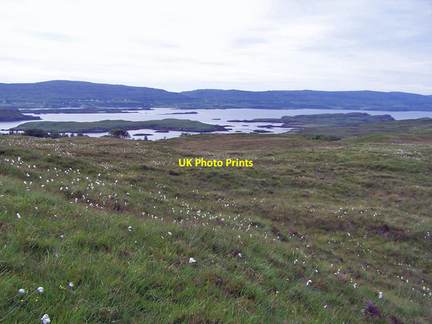 Photo 6"x4" Totachocaire moorland Dunvegan c2010