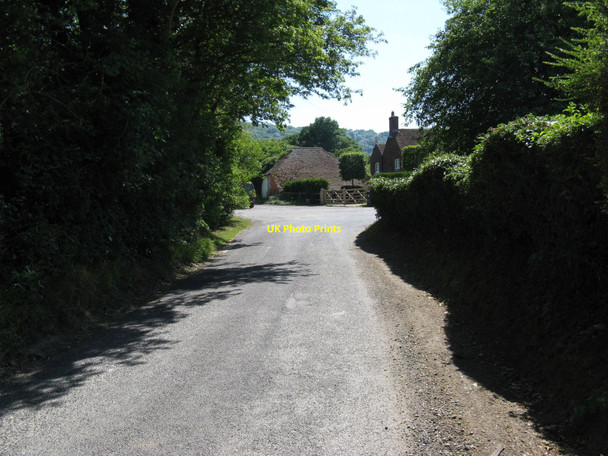 Photo 6"x4" Sharp bend in Heyshott village Hoyle\/SU9018 c2010