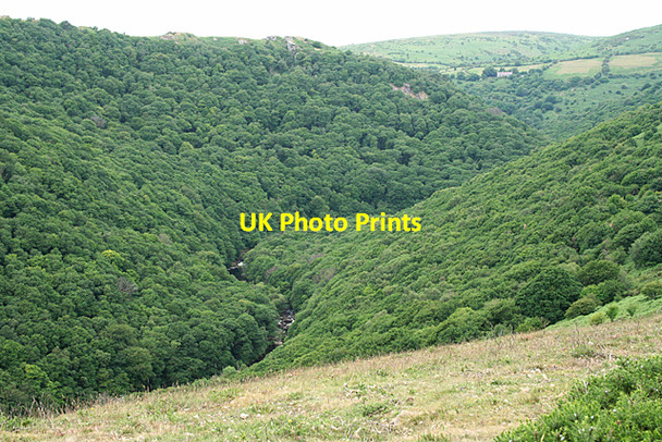 Photo 6"x4" Widecombe in the Moor: towards Bench Tor West Stoke\/SX6971 c2010
