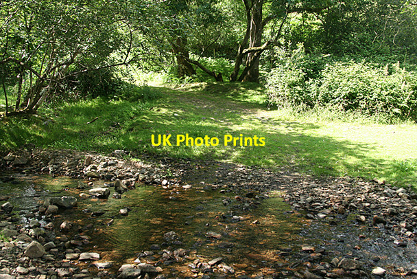 Photo 6"x4" Holne: ford beneath Great Combe Holne c2010