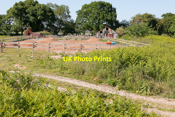 Photo 6"x4" Smallholding near Dean's Farm, Kingston Bisterne c2010