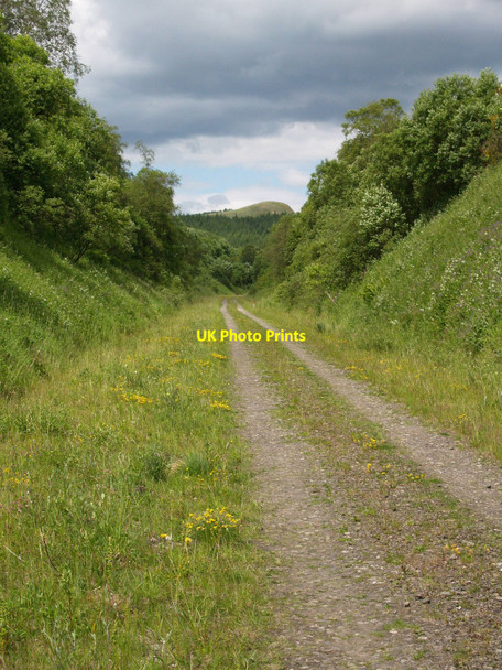 Photo 6"x4" The Waverley Line south of Whitrope White Knowe\/NY5399 c2009