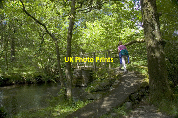 Photo 6"x4" Footbridge over Tarn Beck, Seathwaite Seathwaite\/SD2296 c2010