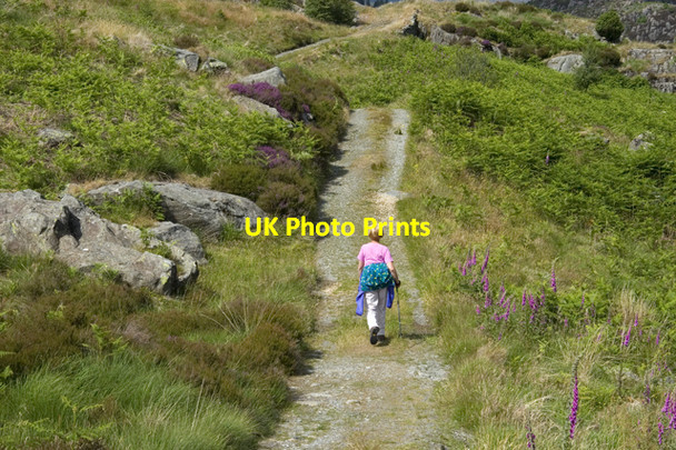 Photo 6"x4" Bridleway to Grassguards Seathwaite\/SD2296 c2010