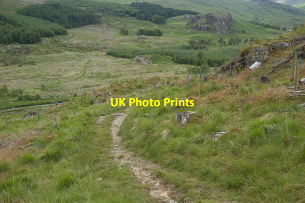 Photo 6"x4" Footpath over Pike How Cockley Beck\/NY2401 c2010