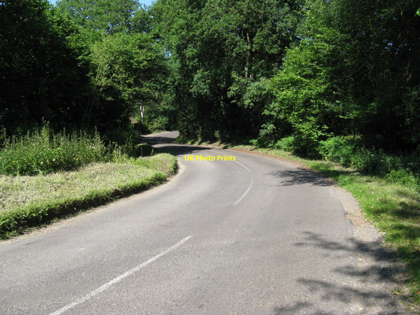 Photo 6"x4" Mill Lane approaching Heyshott Common Midhurst c2010