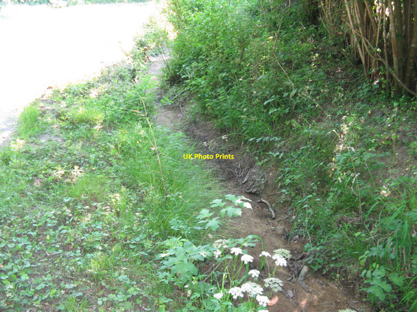 Photo 6"x4" Dried-up stream alongside Mill Lane Midhurst c2010