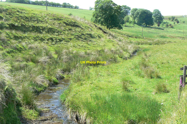 Photo 6"x4" Tor Brook Macclesfield Forest c2010
