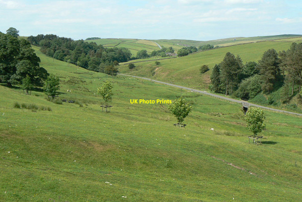 Photo 6"x4" Valley of the Tor Brook Macclesfield Forest c2010