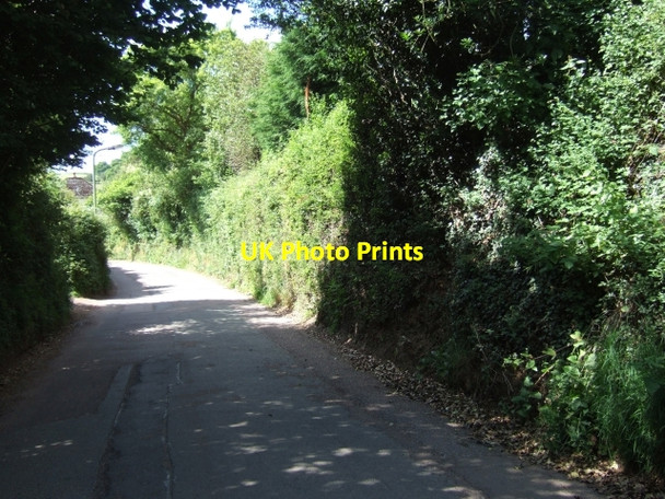Photo 6"x4" Road from the north into Cheriton Fitzpaine Cheriton Fitzpaine c2010