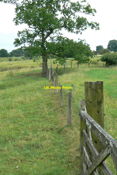 Photo 6"x4" Fence and oak tree Oakgrove\/SJ9169 c2010