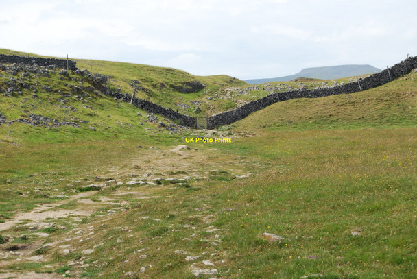 Photo 6"x4" Heading towards a gate in the stone dyke New Houses\/SD8073 c2010