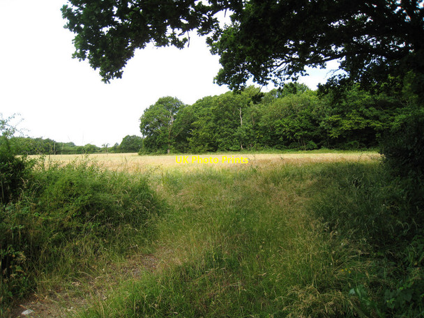 Photo 6"x4" Field off Brisley Lane Stone Cross\/TR0236 c2010