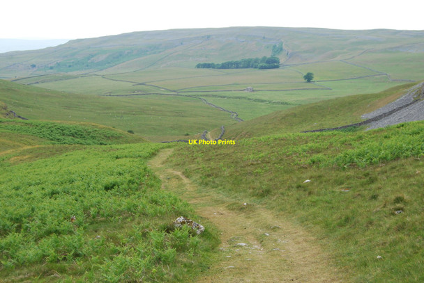 Photo 6"x4" The footpath to Austwick Wharfe c2010