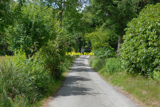 Photo 6"x4" The road past School House Glyn\/SN9286 c2010