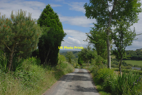 Photo 6"x4" Minor road west of Van Glyn\/SN9286 c2010
