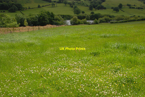 Photo 6"x4" Field above Llyn y Fan Van\/SN9587 c2010